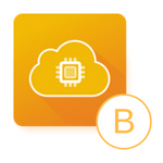 Balanced Icon